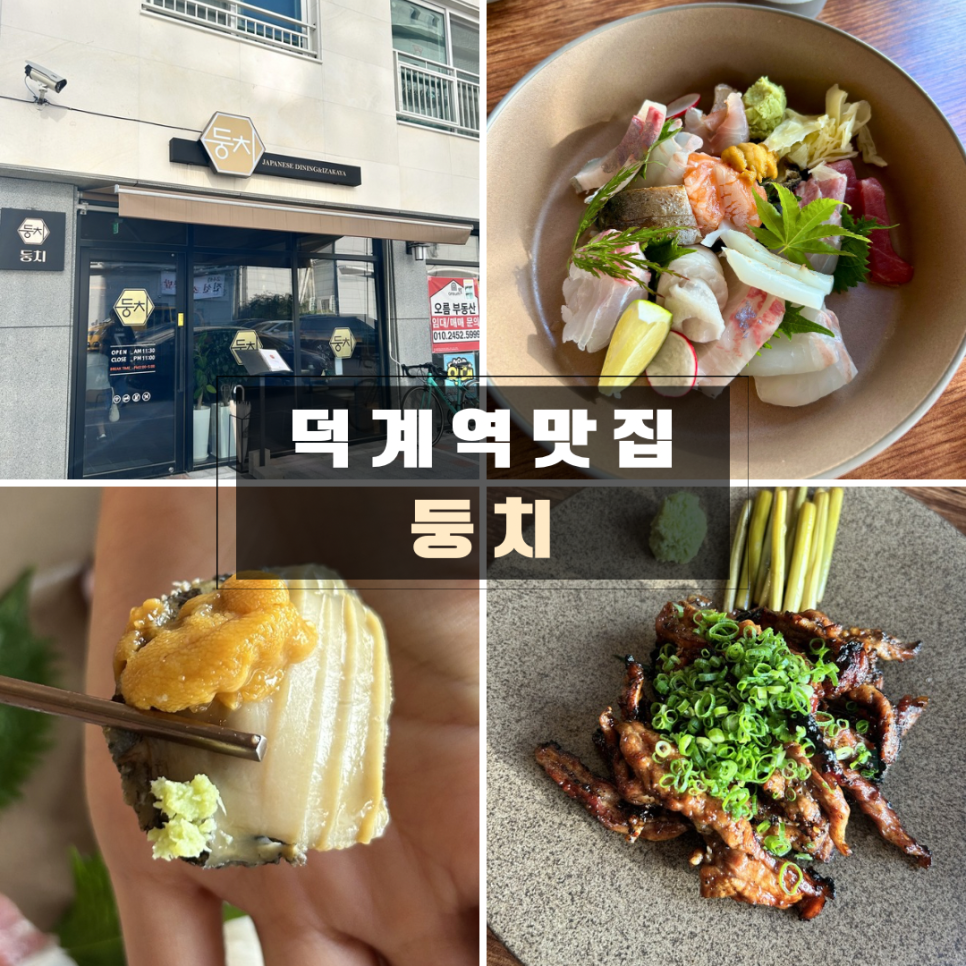 둥치 사진 1