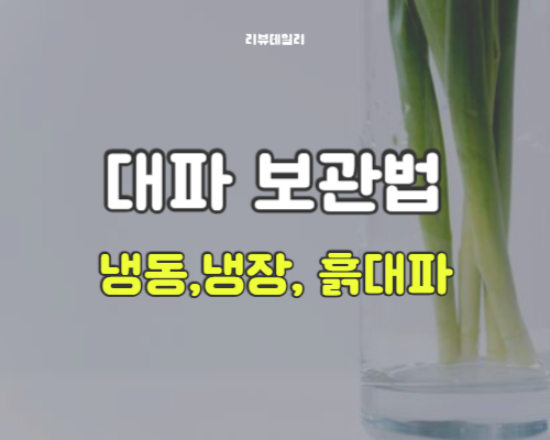 대파 보관법 (흙대파 보관법, 냉동, 냉장, 실온 보관)