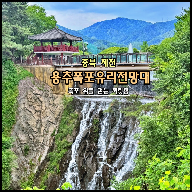  [제천] ️ 폭포 위를 걷는 짜릿함 '용추폭포유리전망대'