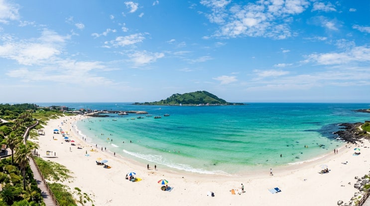  2026 제주 협재·금능해수욕장 완전정복 | 금능해변 야영장 명당 + 보말칼국수·흑돼지 미식 코스