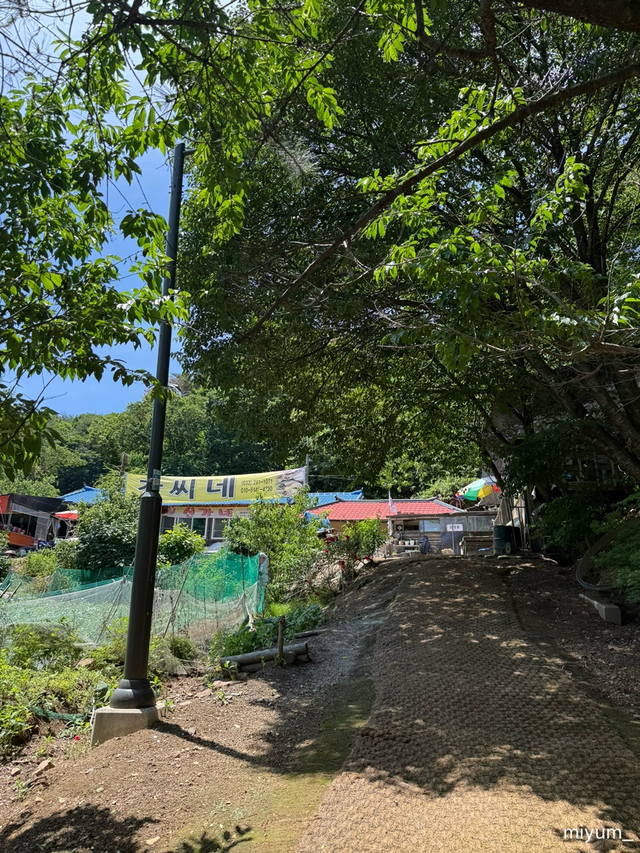 구곡촌두부 사진 5