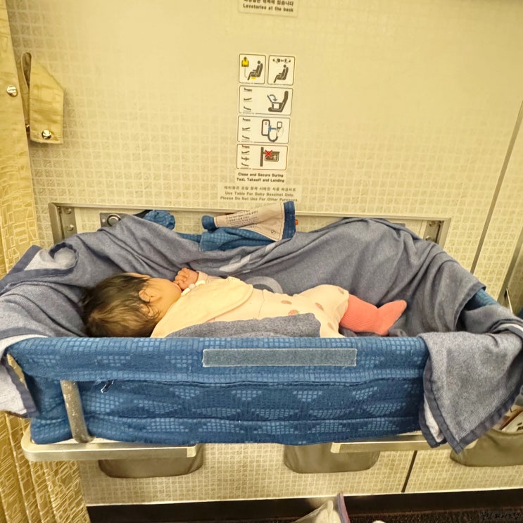 <b>대한항공</b> 신생아 아기 비행기 무료 언제까지? 베시넷 바구니... 