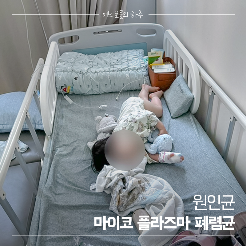 콜록콜록 마이코플라즈마 폐렴의 모든 것