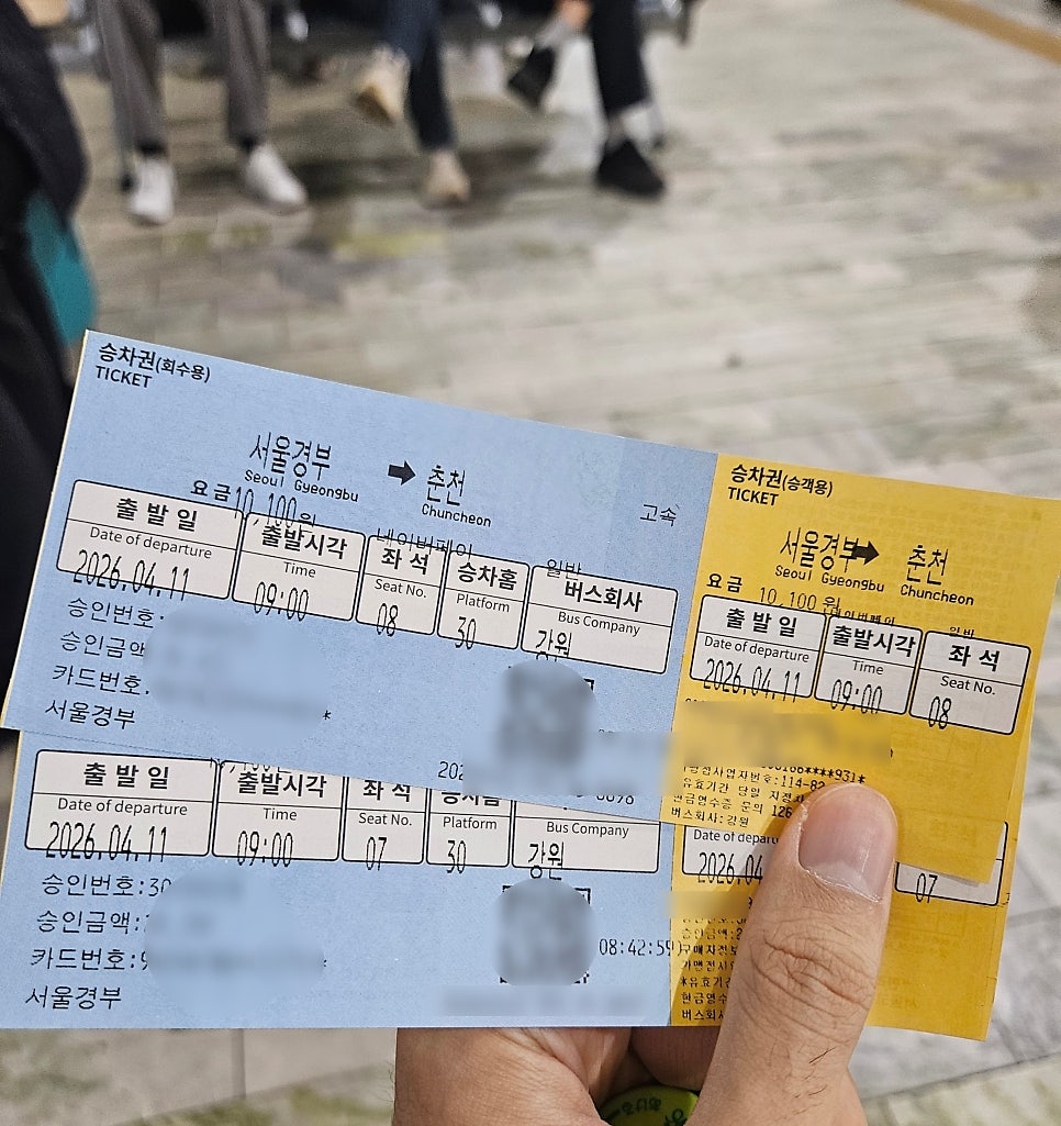서나와할아버지통나무집 사진 1