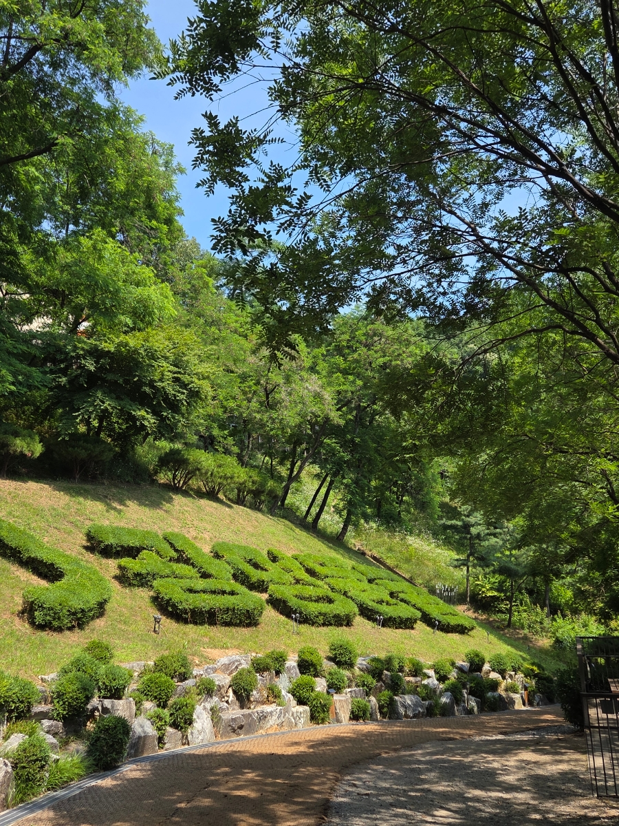 혜성 사진 3