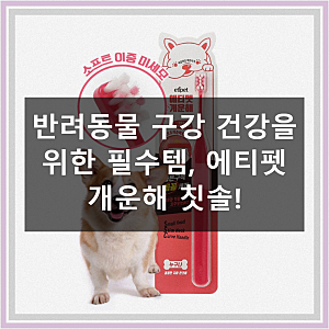 우리 아이 치아 건강, 에티펫 개운해 칫솔로 꼼꼼하게!
