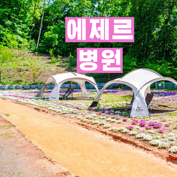 위암<b>요양병원</b> 꼼꼼한 관리 중요성