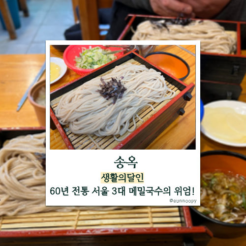 생활의 달인 서울 3대 메밀국수 노포! 남대문 홍두깨 판메밀 달인 60년 전통 ‘송옥’ 시청역....