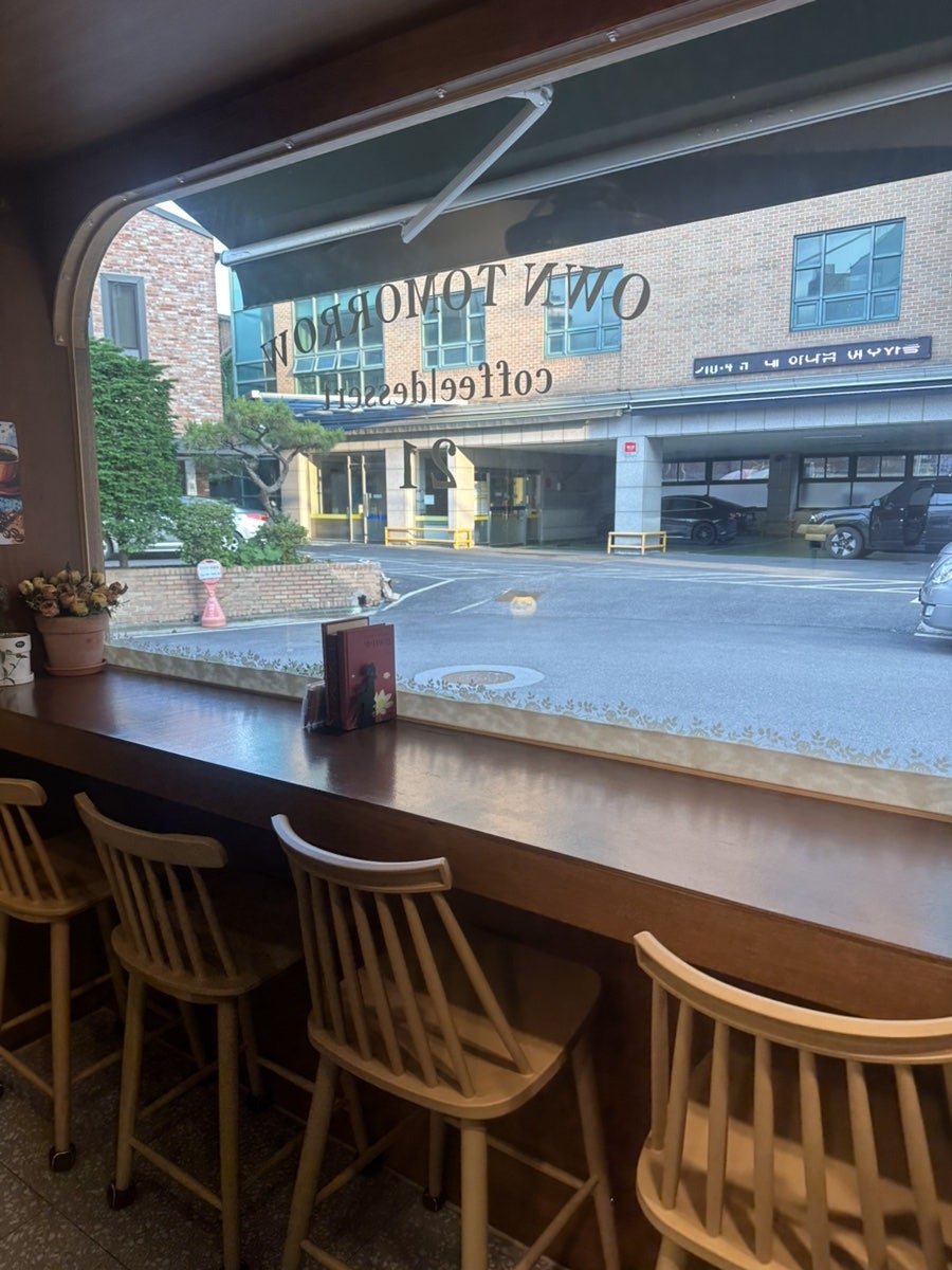 온트 사진 5