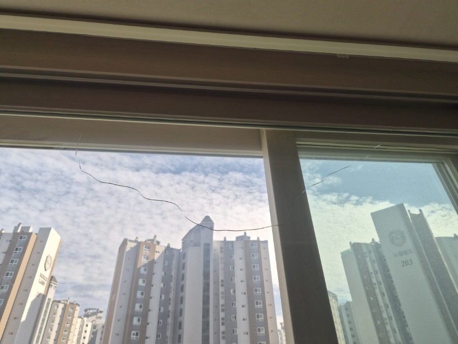 대판 사진 1