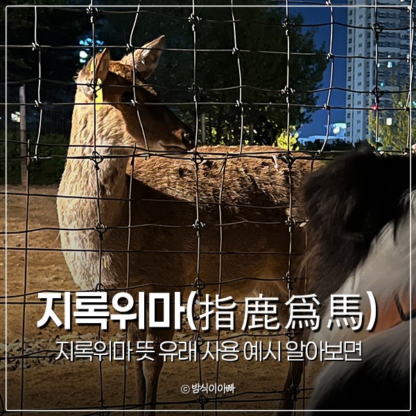 지록위마 뜻 유래 사용 예시 한자 알아보면? 동물사자성어 겉뜻 속뜻