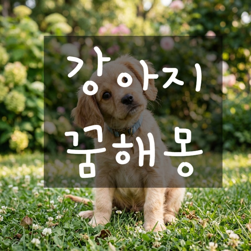 개 꿈해몽: 개한테 물리는 꿈, 개가 짖는 꿈은 진짜 단순한 개꿈일까?