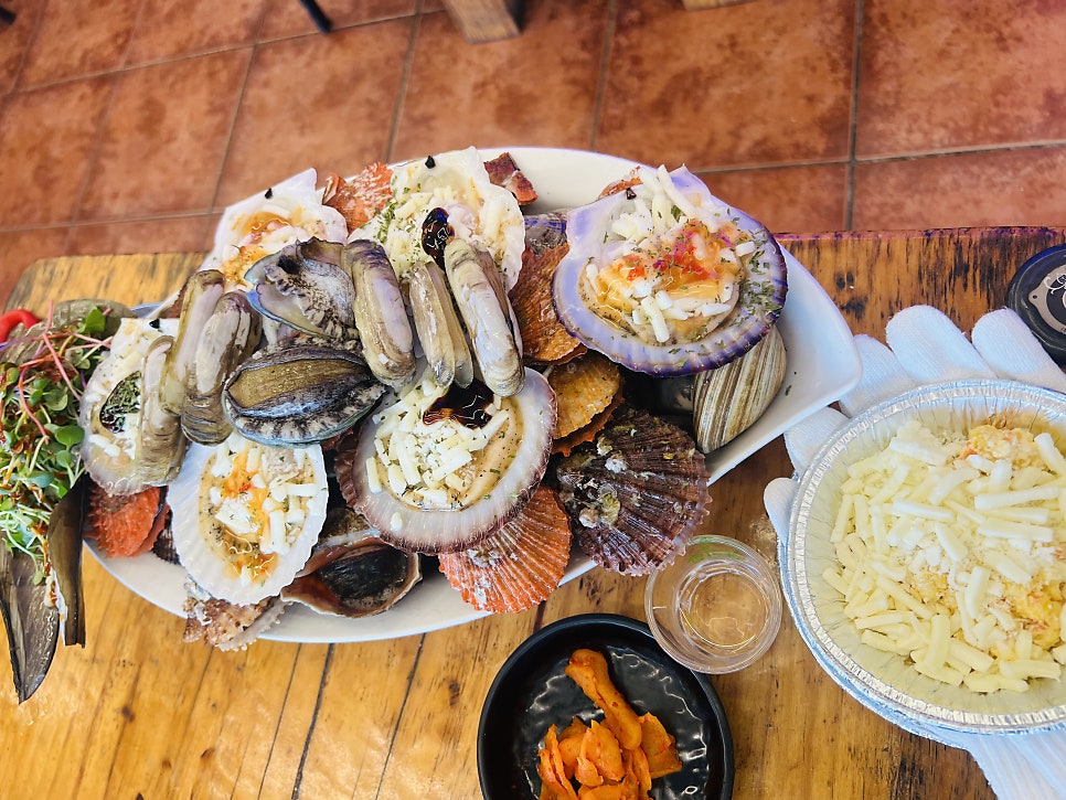 뱃고동 사진 6