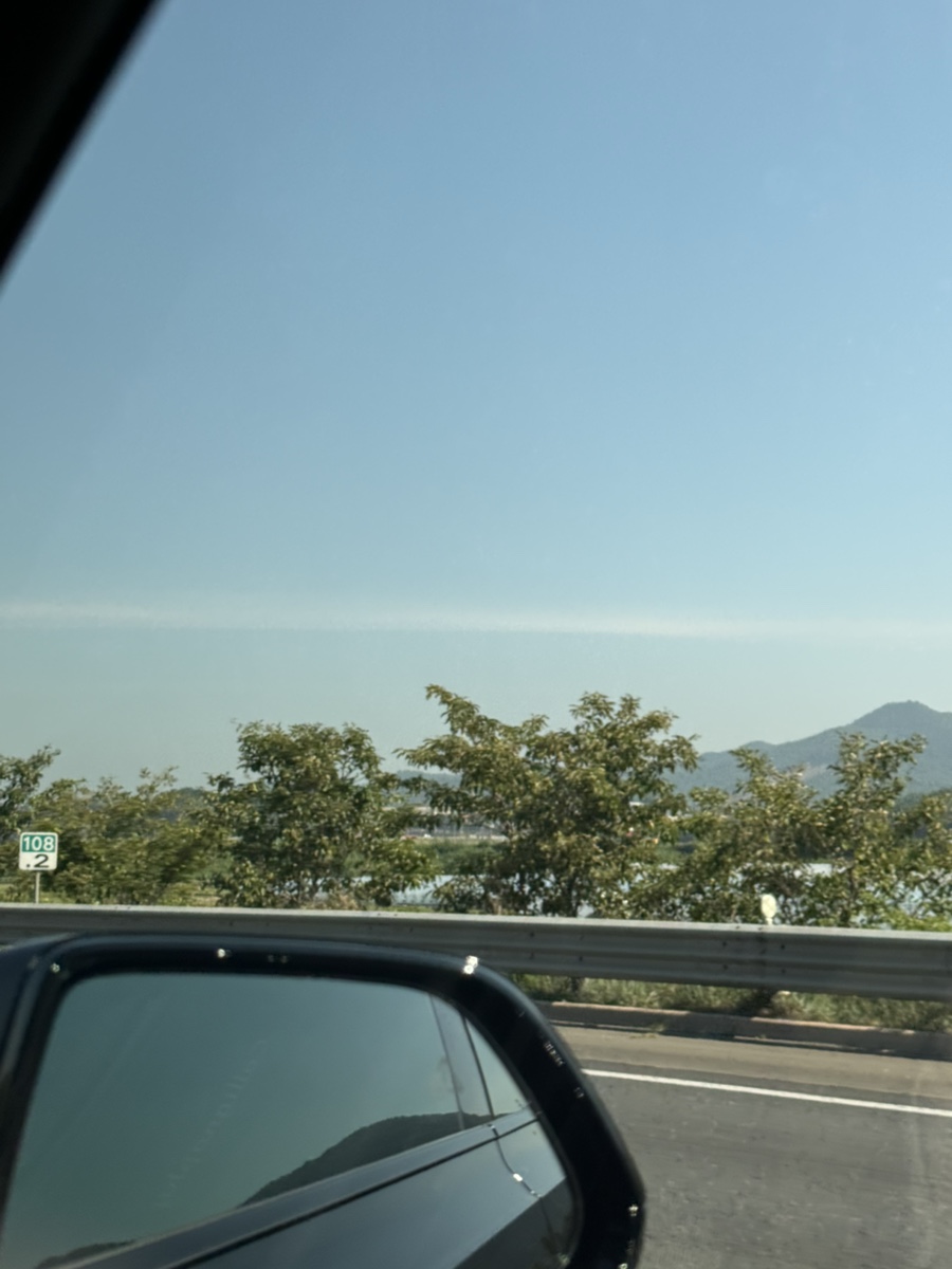 고향의봄 사진 1