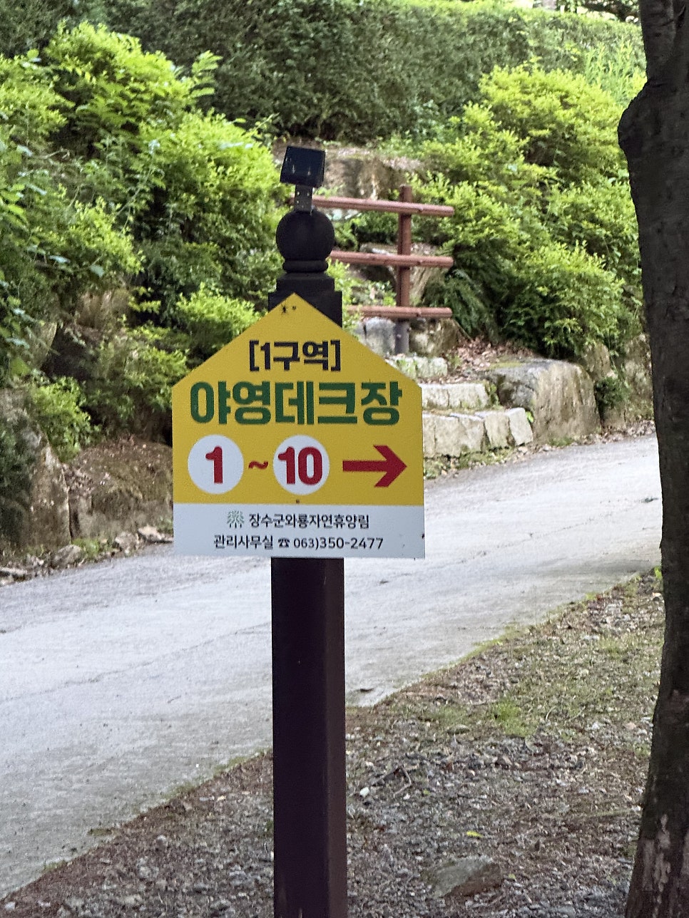 와룡자연휴양림 캠핑장 사진 6