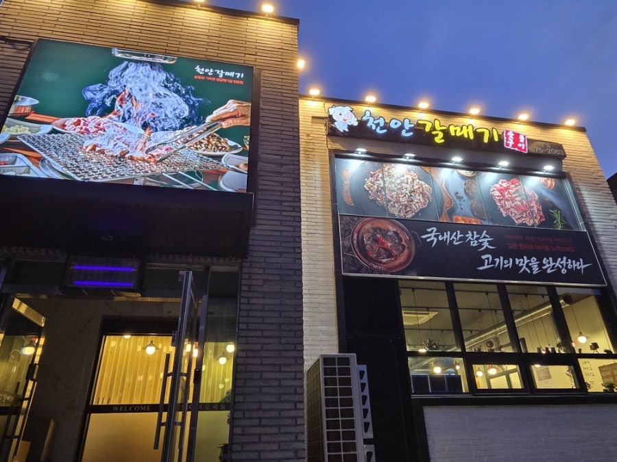 금오갈매기 사진 1