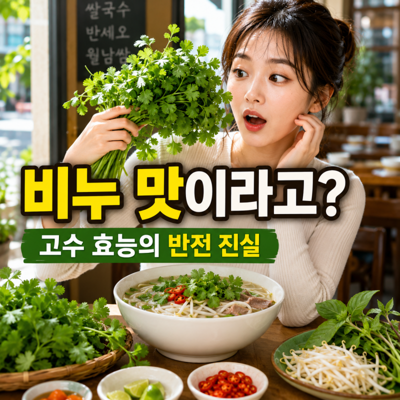 고수 효능 5가지와 부작용 먹는법 완벽정리