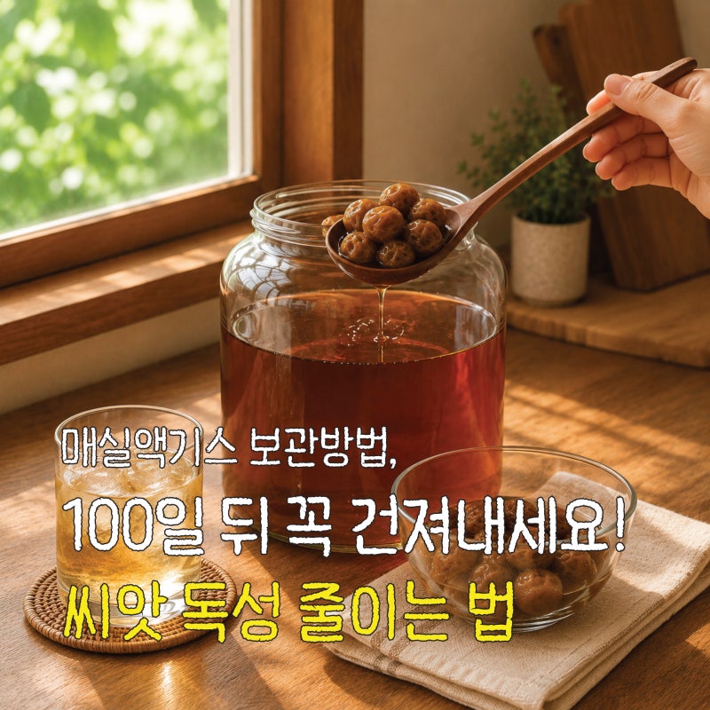 매실액기스 보관방법, 100일 뒤 과육 꼭 건져내야 하는 이유 (유통기한·효능·씨앗 독성 정리)
