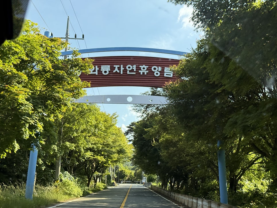 와룡자연휴양림 캠핑장 사진 2