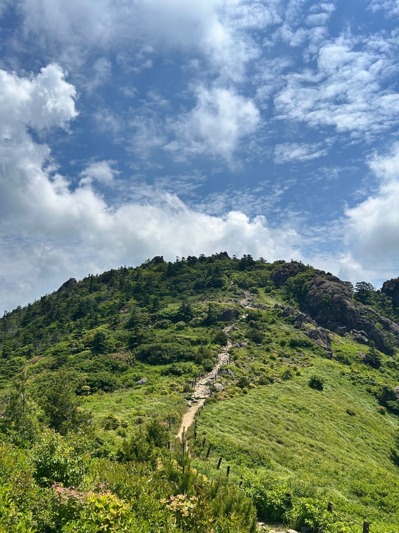 지리산 등산일지 | 날씨가 다 했던 지리산 백중종주! 백무동 천왕봉 중산리 코스 다녀온 후기....