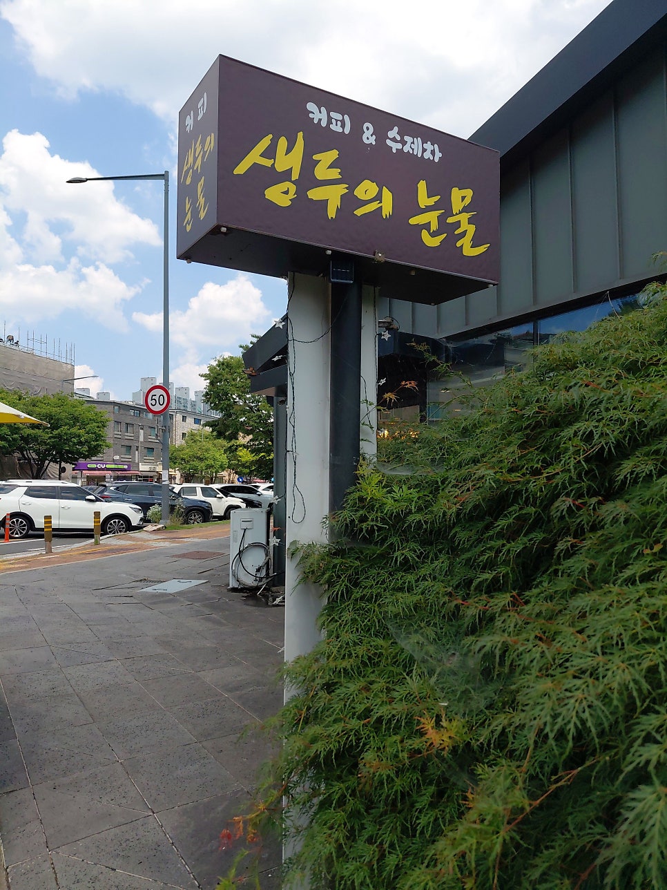생두의눈물 사진 1
