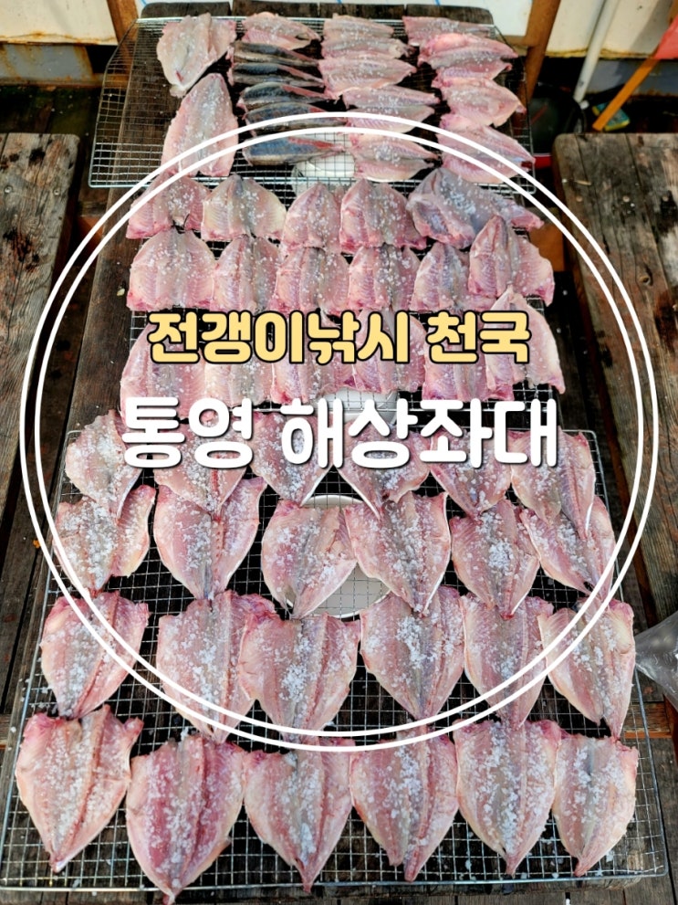  통영 해상좌대 전갱이 낚시 후기 전갱이 잘 잡는 법 총정리