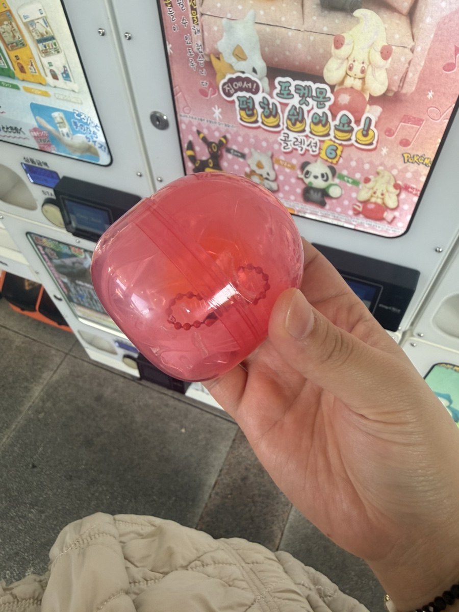 고향의봄 사진 3