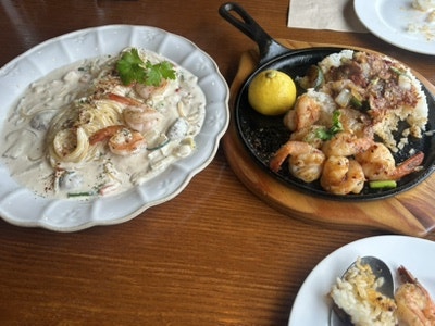 비반다 사진 2