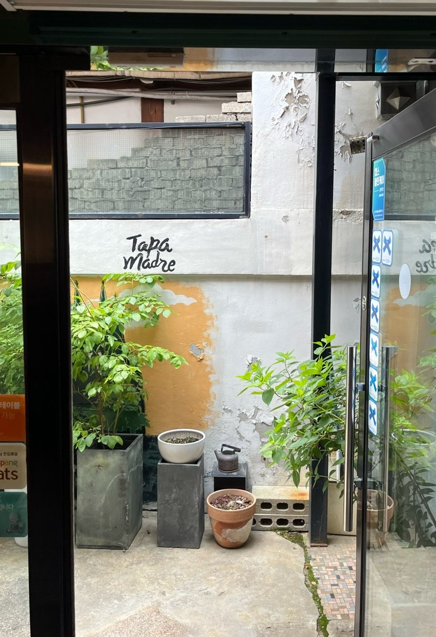 따빠마드레 사진 3
