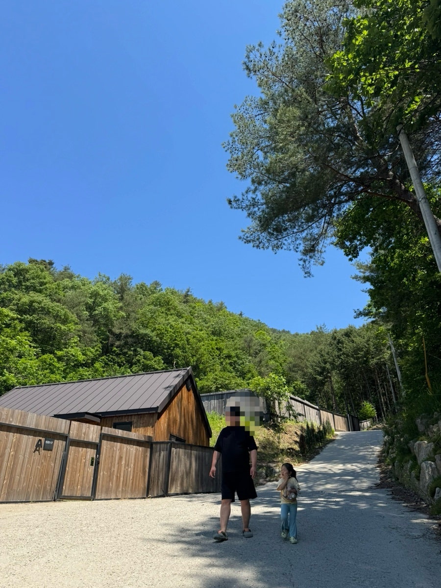 잼보리 캠프 사진 3