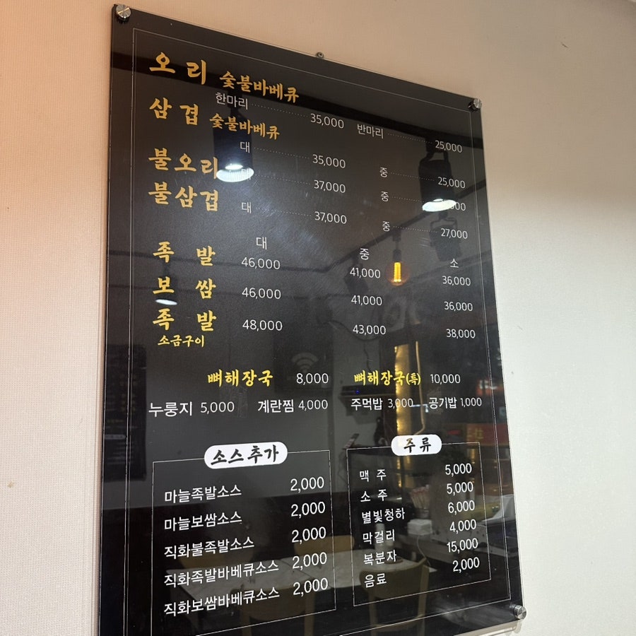 황금오리 사진 2