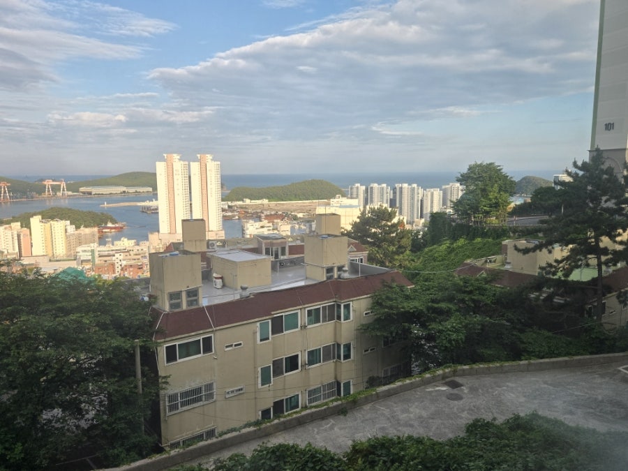 불막열삼 몰운대점 사진 3