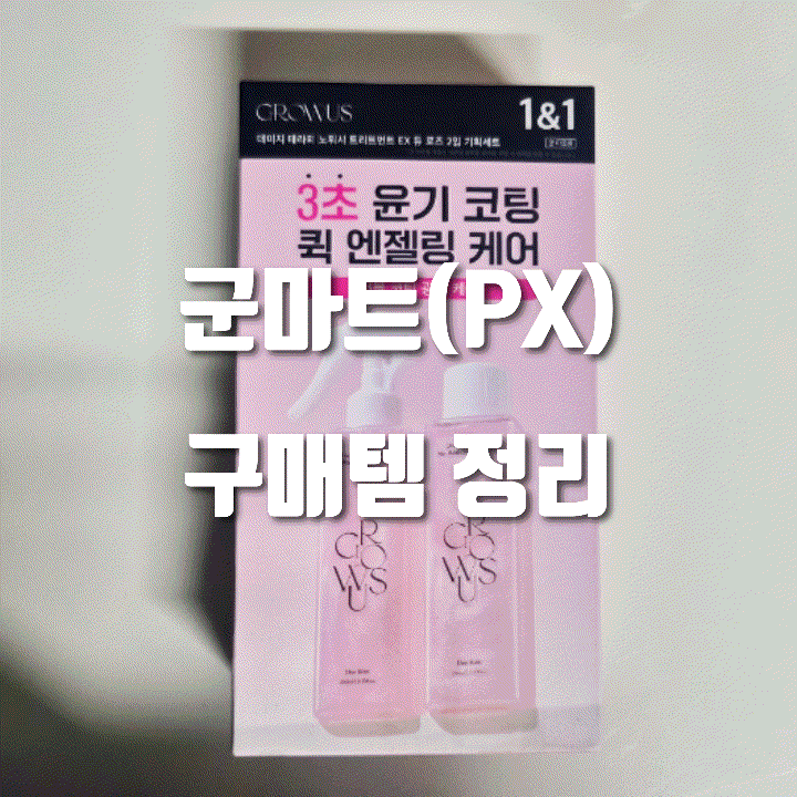  2026 PX(군마트) 제품 가격 정보 | 다음에 내가 찾아보려고 정리하는 글