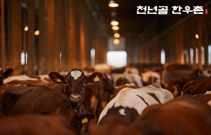 인내산 사진 3