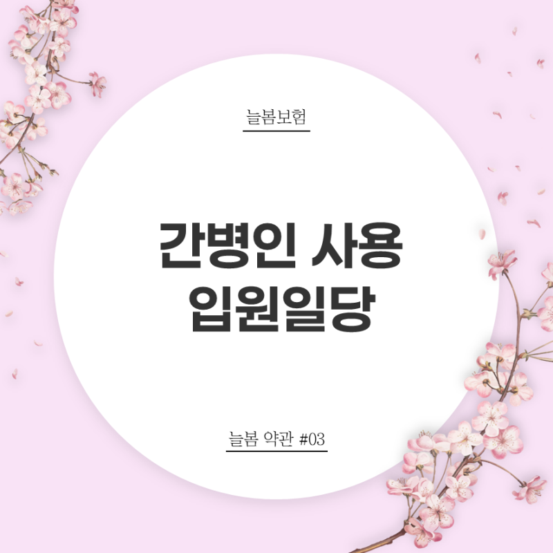 늘봄약관#03 - 간병인 사용│상해 질병 입원일당│DB 손해보험 무배당 프로미라이프 건강할때....