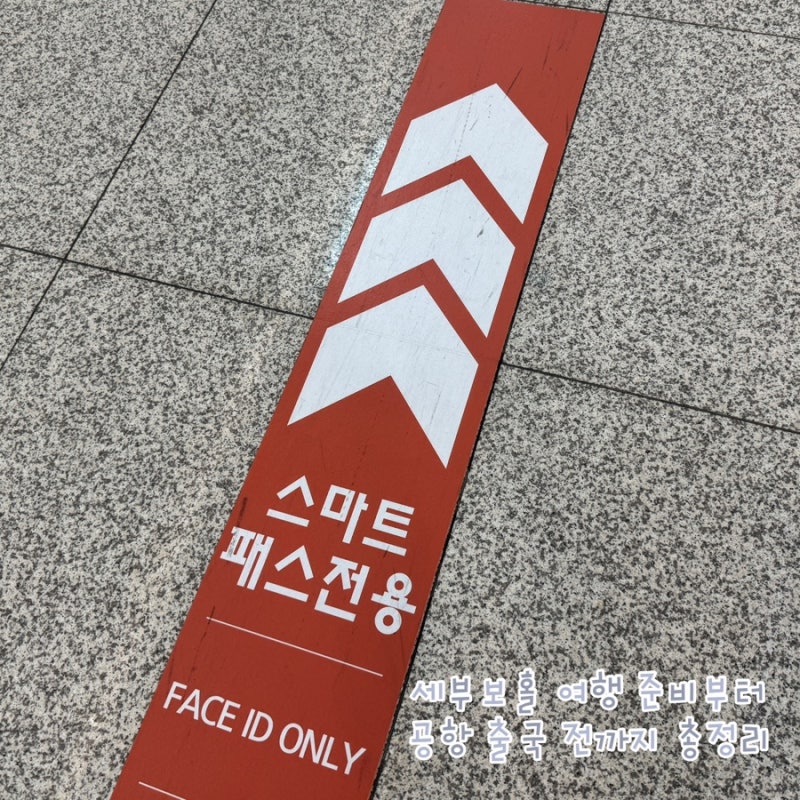 세부 보홀 자유여행 준비하기 환전 eSIM eTravel 준비물 공항 출국 총정리