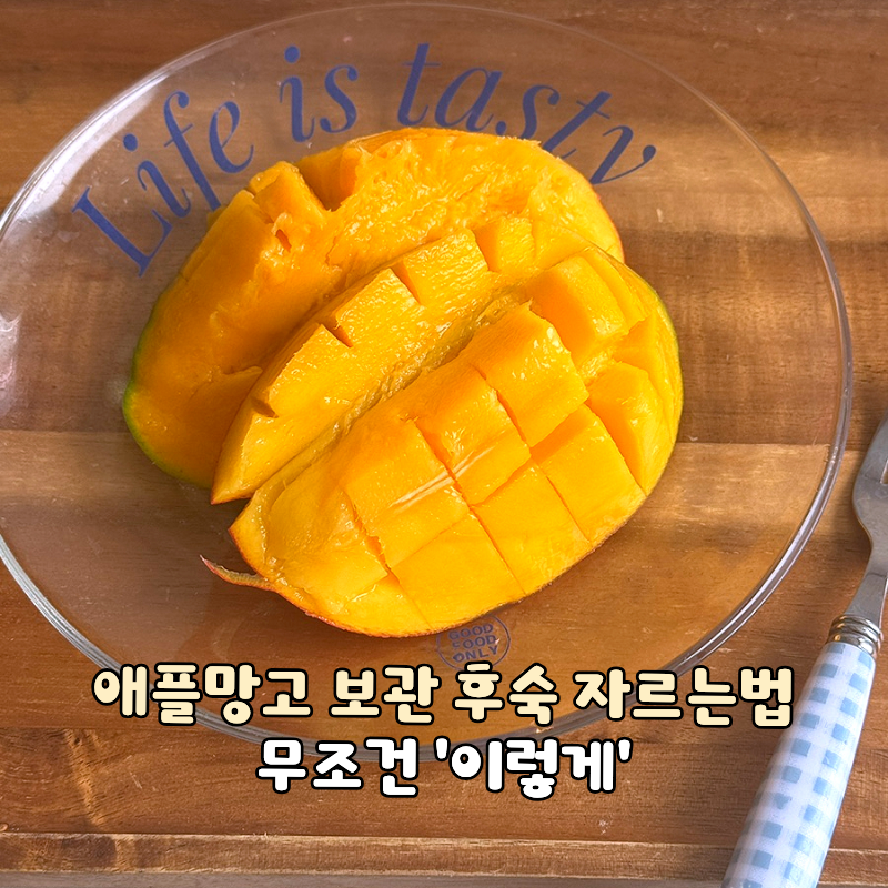 애플망고 보관법 후숙 자르는법 무조건 이렇게 하세요