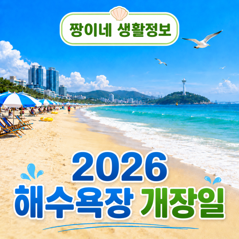2026 해수욕장 개장일, 을왕리 먼저 열고 제주·부산·펫비치까지 정리