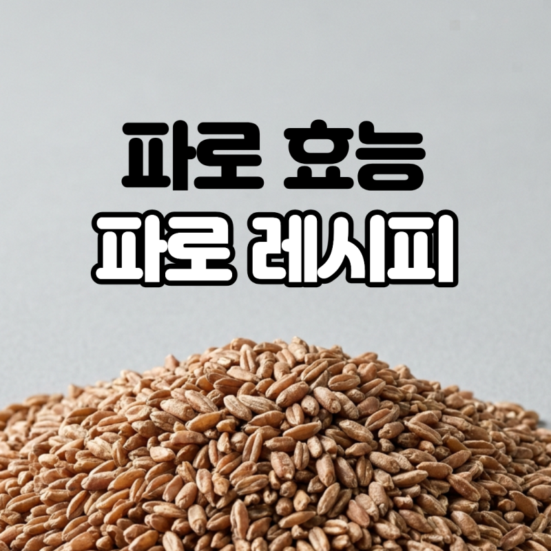 다이어트와 당뇨 관리에 탁월한 고대 곡물 파로 효능 부작용 없이 먹는 레시피 4가지