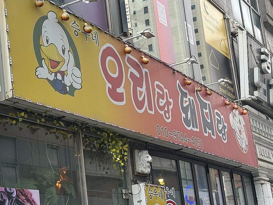 승우네오리랑돼지랑 사진 1