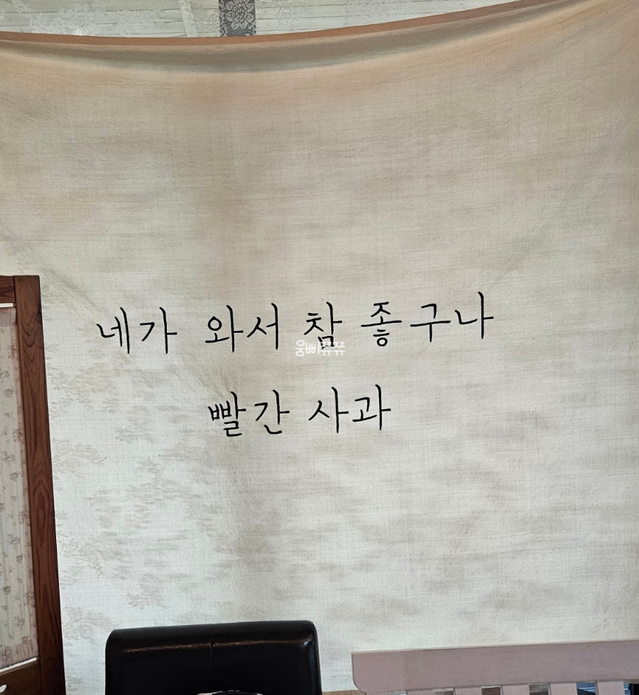 빨간사과 사진 1