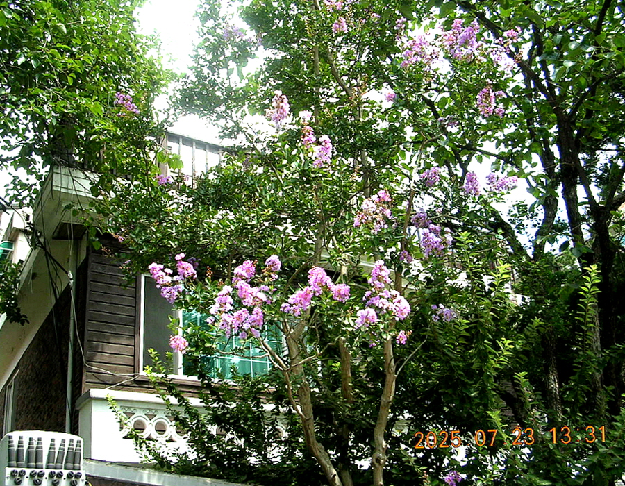 을지로 산수갑산 을지로점 사진 2