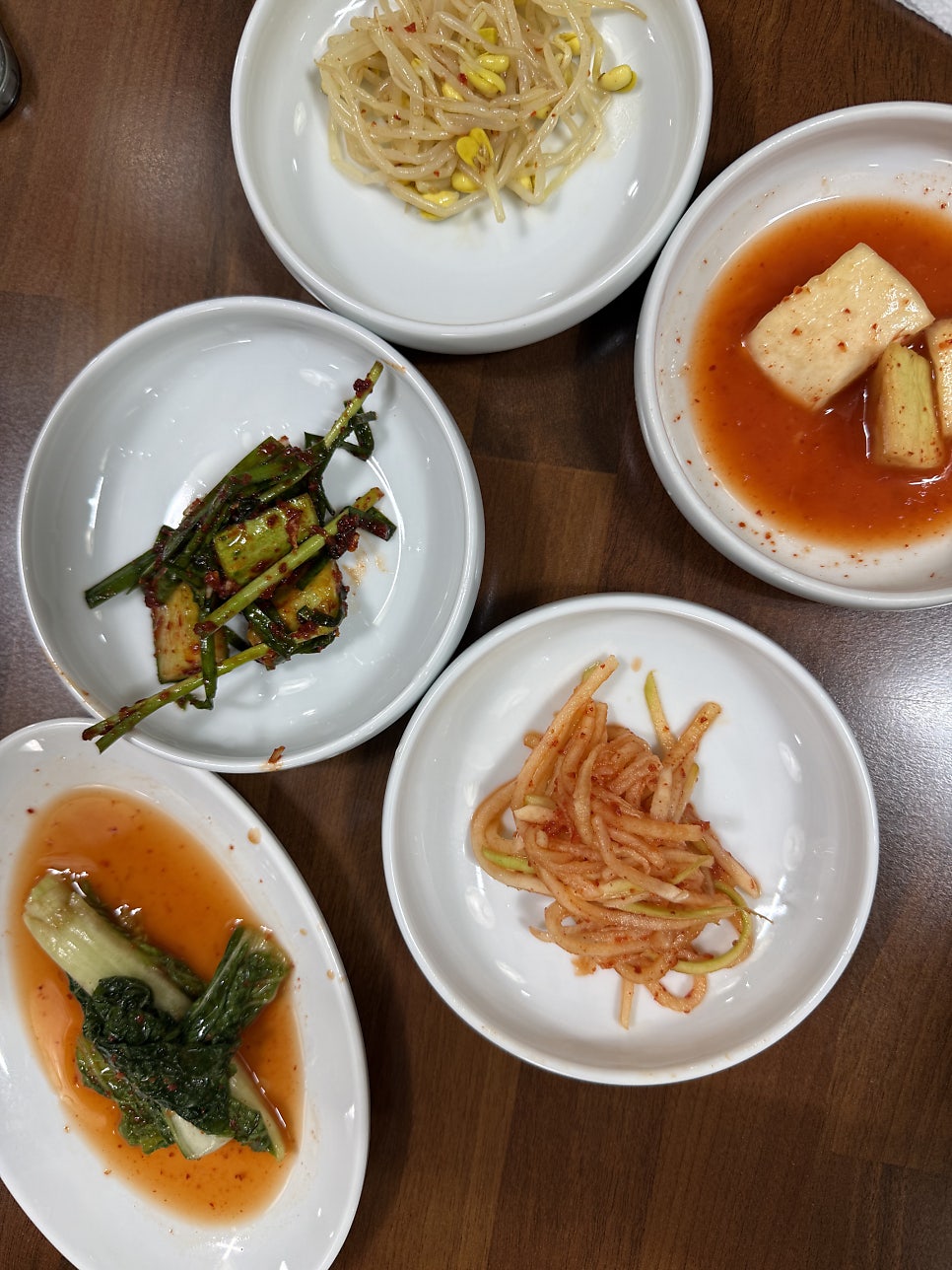 토가 사진 5