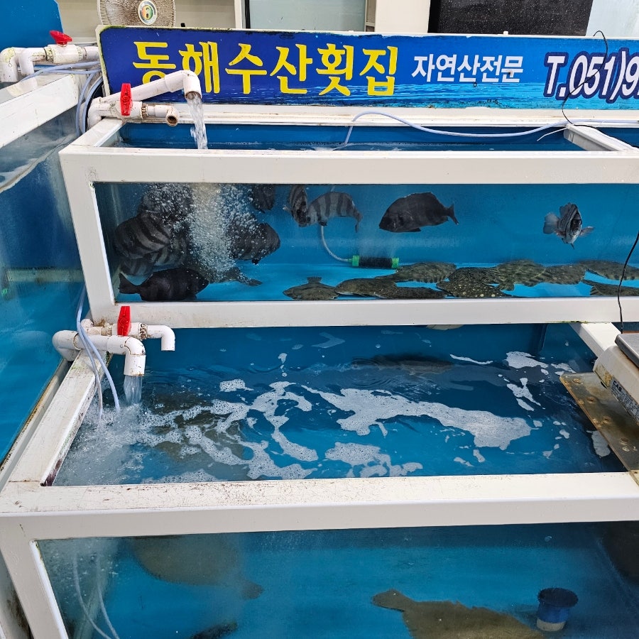 동해수산 사진 2