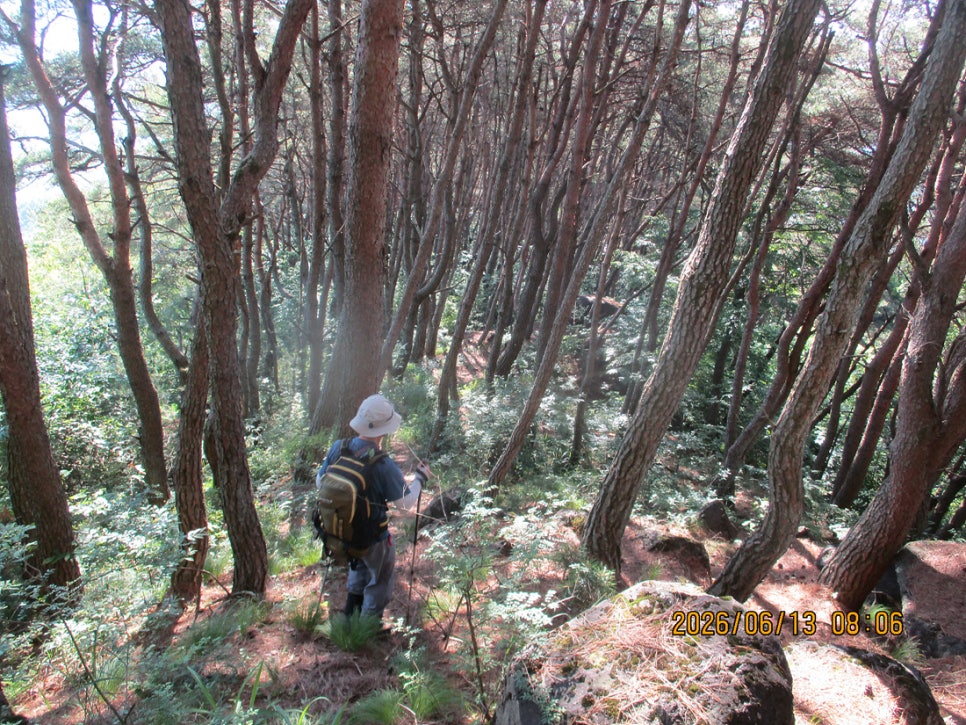 연비산 사진 2
