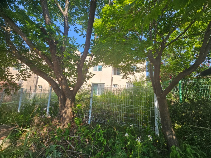 남양주 수동면 외방리 전원주택 전월세｜텃밭과 마당이 있는 반려견 가능한 시골집 임대 이....
