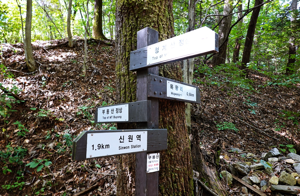 부용산 사진 5