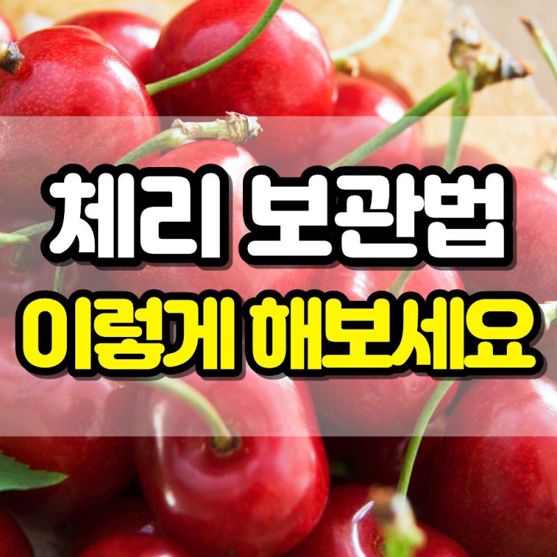 체리 보관법과 세척방법, 제철 시기부터 효능까지