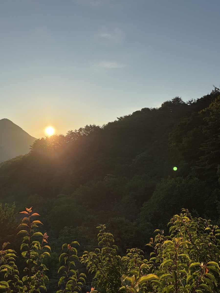 지리산을 유영하는 큰고래 사진 2