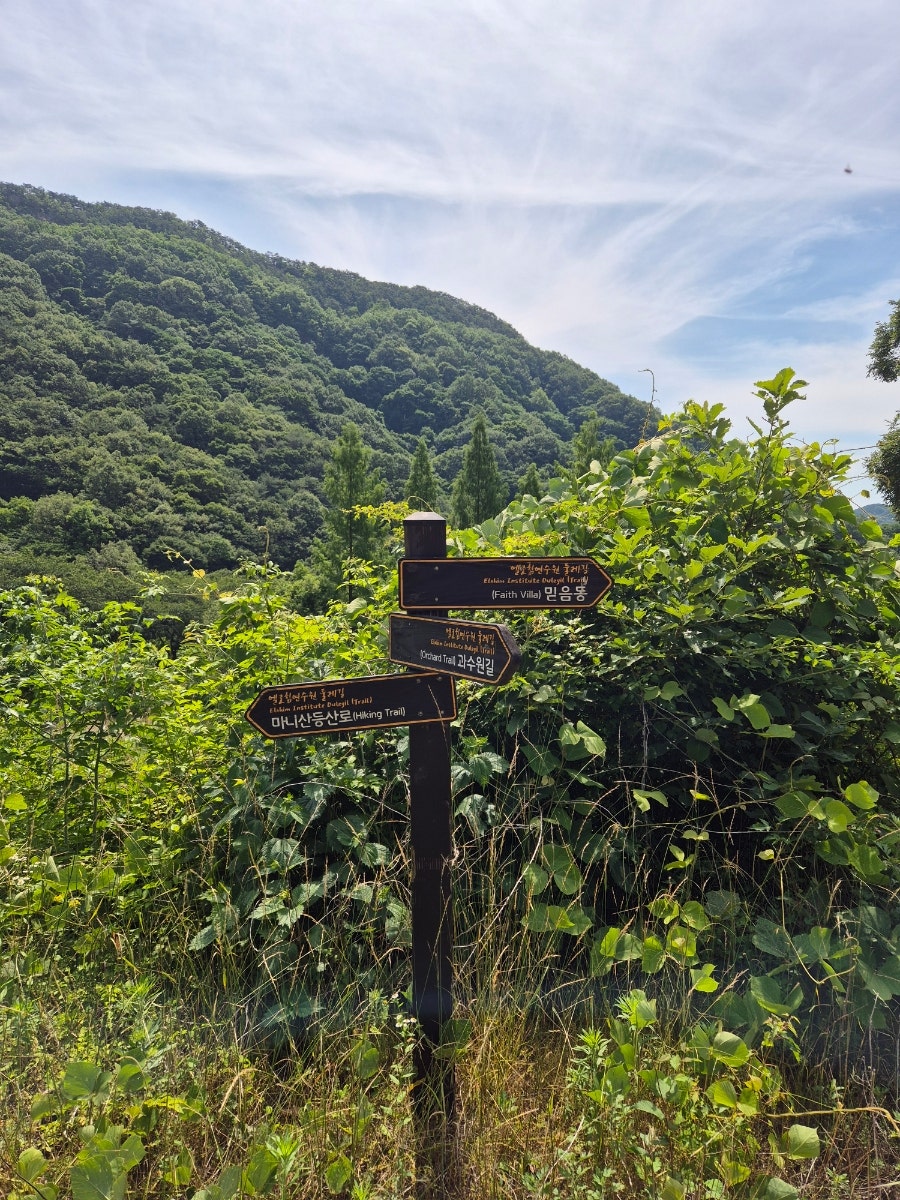 노고산 사진 5